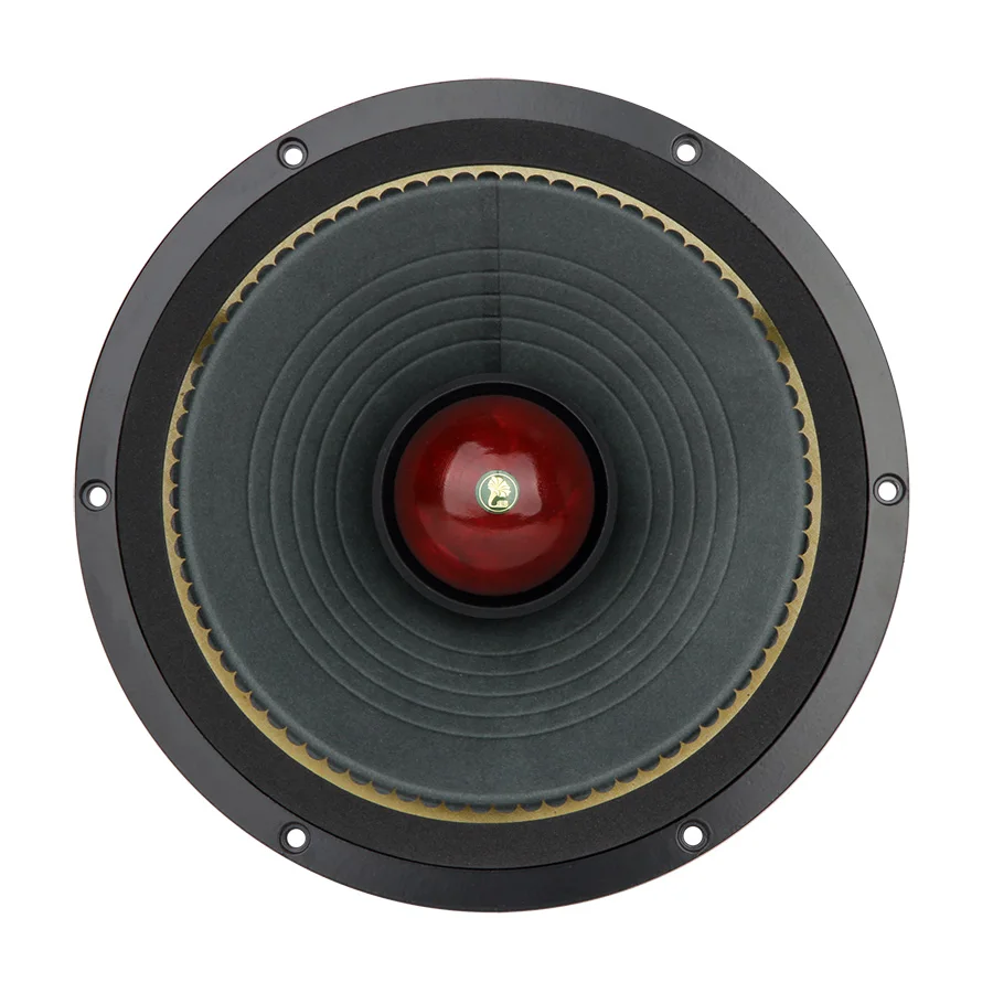 10 inch cobalt magnetic full frequency MUSIC-10 ALNICO FULL RANGE SPEAKER