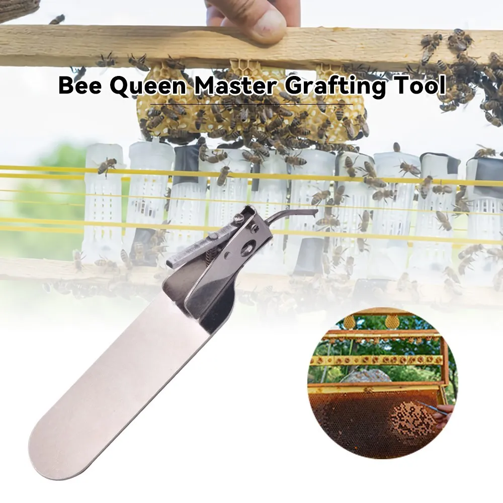 Beekeeping Queen Rearing Master Grafting Tool with Spare Tongue