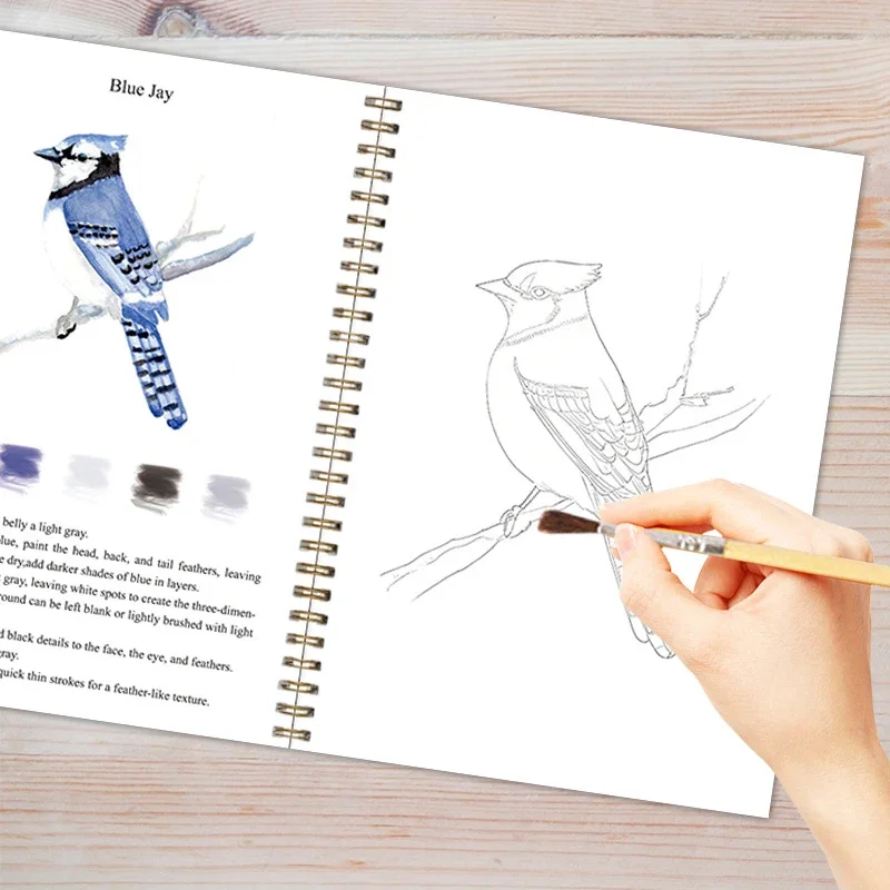 

Beginner Watercolor Workbook Painting Kit – 12 Colors Paint Set With Brush Art Supplies For Adults & Teens