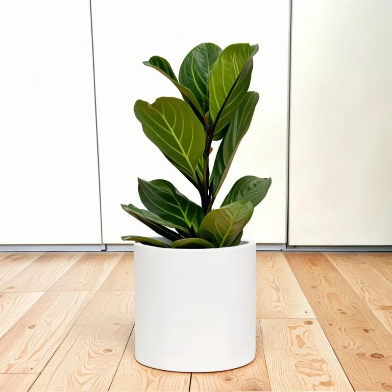 10 Inch Plant Pot with Drainage Plug — Premium Lightweight Fiberstone Matte White Planter; Indoor & Outdoor