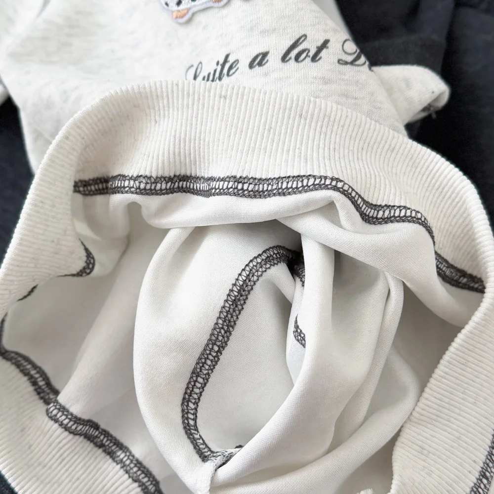 2026 Herbst Kinderbekleidungssets Baby Jungen Mädchen Cartoon Welpen-Print Rundhals-Sweatshirt+Hose 2-teilige Kinder-Freizeitanzüge – Detail 6
