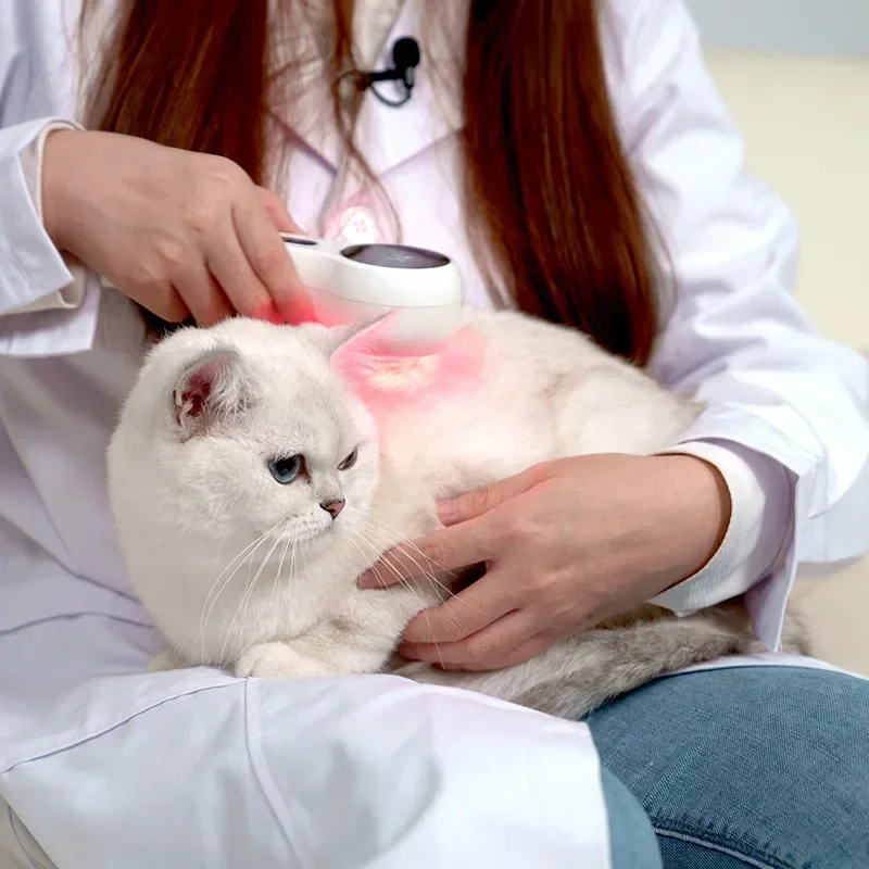 2025Wholesale 808nm 650nm Cold Laser Therapy Equipment Rehabilitation Device For Dogs Pain Relief