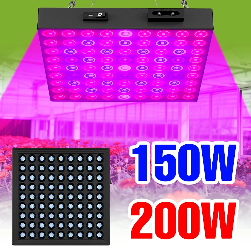 

200W LED Full Spectrum Grow Lamp Quantum Board Plant Fill Lamp Indoor Greenhouse Tent Vegs Hydroponic Cultivation Plant Lighting