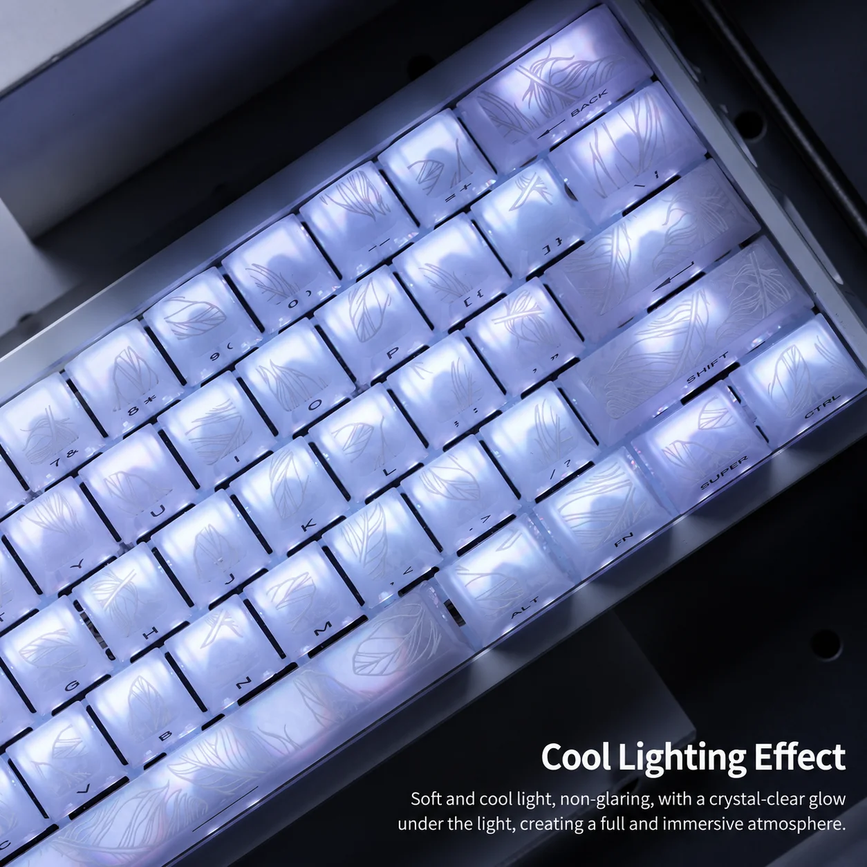 Ice Feather Era Wing Pattern Crystal Keycaps