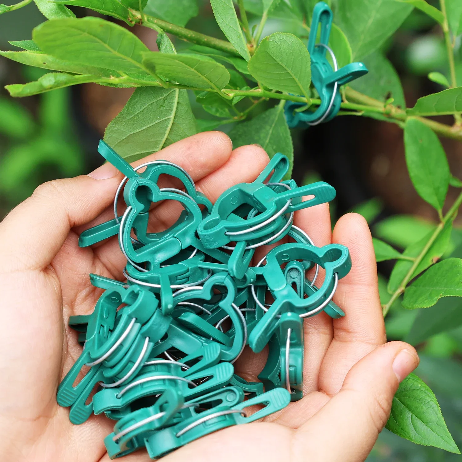 Wholesale Adjustable Plastic Lever Ring Clip Plants Climbing Quick Fastening Clamp Fixed Holding Flower Vines Vegetable Clips
