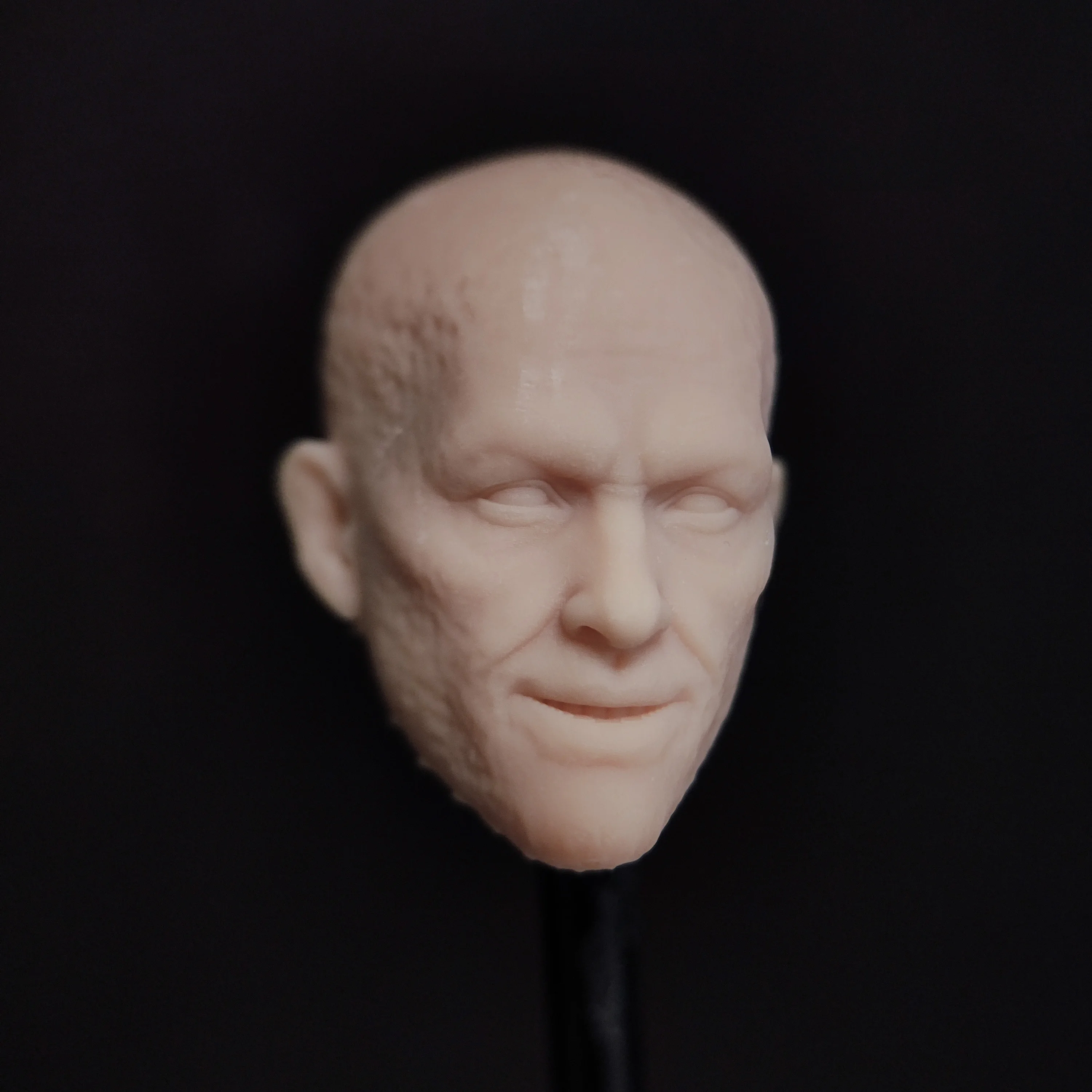 

HL1992 DIY Индивидуальная 1/18 1/12 1/10 Ryan R Wade W W W Неокрашенная голова для 3,75 "6" 7 "фигурки SHF ML Mafex Mez NECA Mcf