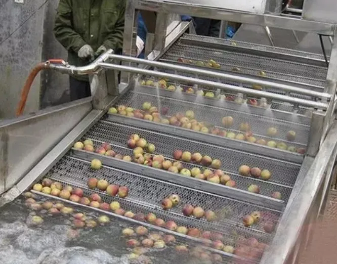 さまざまな食品、産業向けにカスタマイズされた果物と野菜の泡を備えた超音波洗浄機