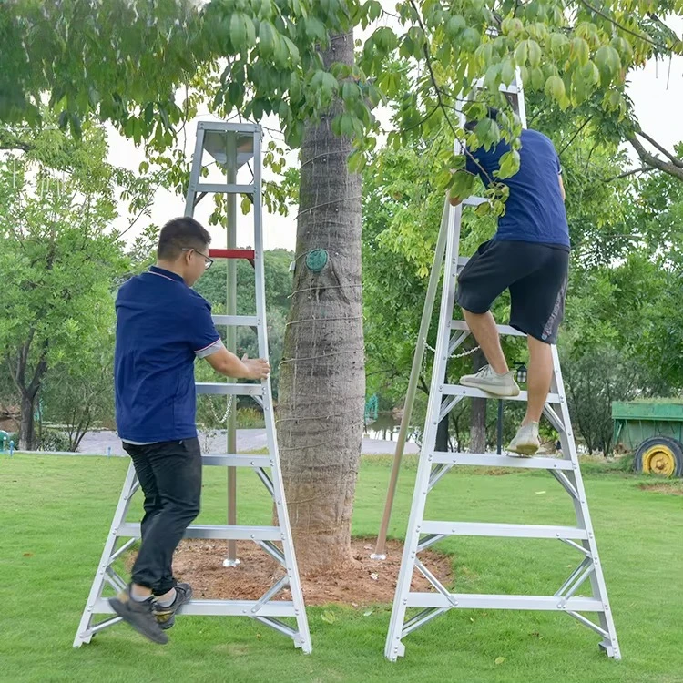 Welded vertical frame adjustable support wide-step fruit picking ladder