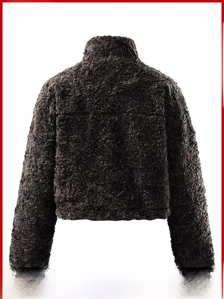 Manteau en fourrure d'agneau neuf, design haut de gamme, style coréen, coupe ample, blanc, rembourrage en duvet, en velours Teddy Faionable ort pour femmes