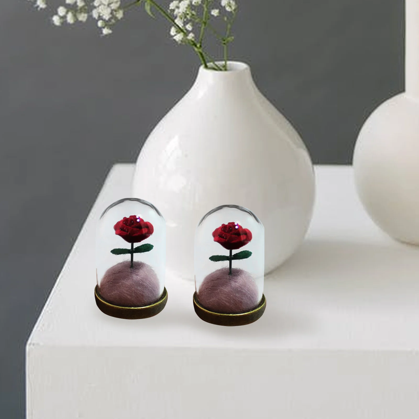 

YOSADIER 5 Sets Glass Dome Terrarium Kit Mini Garden Decor for Home Office Cafe Interior Decoration