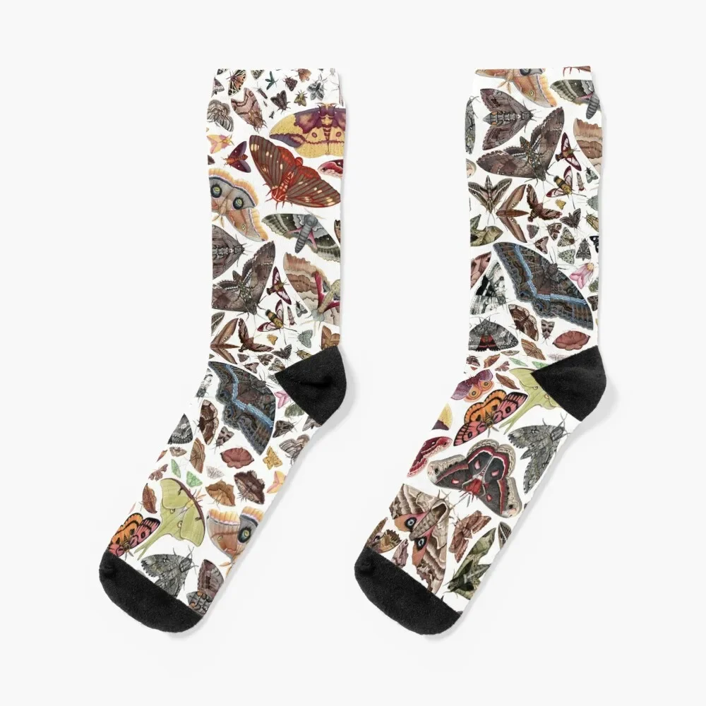 

Moths of North America Pattern Socks new year cool floral Man Socks Women's