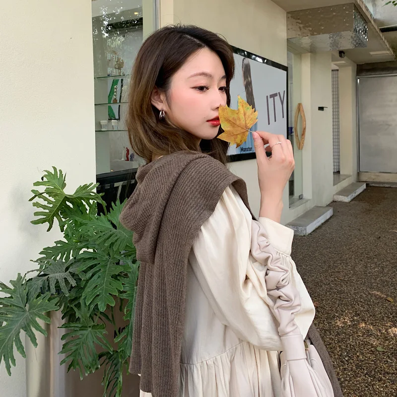 Autumn Fake Collar Air-Conditioned Room Hooded Shawl Outer Match Knitted Shoulder Shawl Women's Cervical Support Knotted Scarf