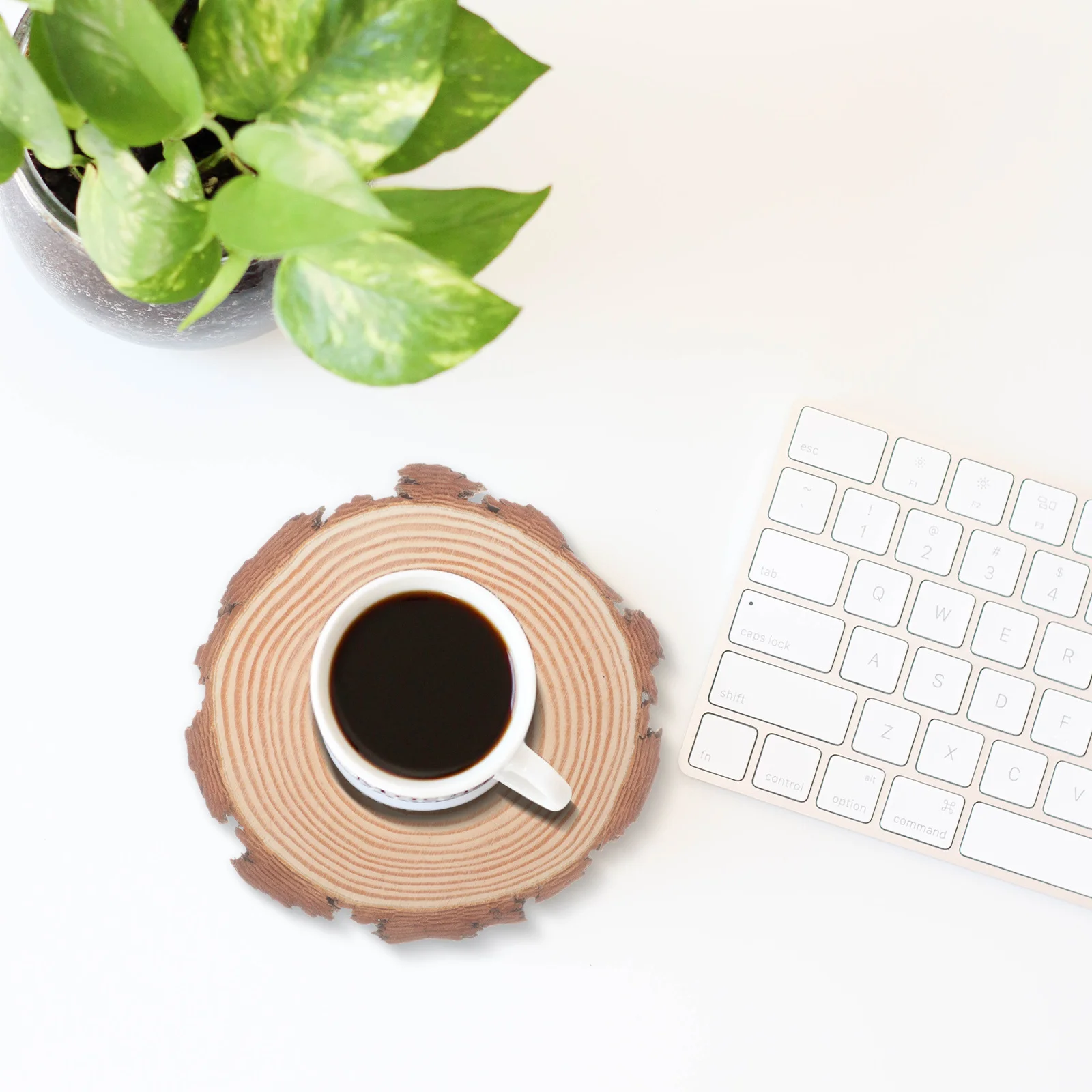 

6Pcs Natural Unpainted Wood Slices Round Wooden Circles for DIY Crafts Painting Wedding Home Decoration Wood Slices