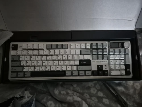 실물 포토 리뷰