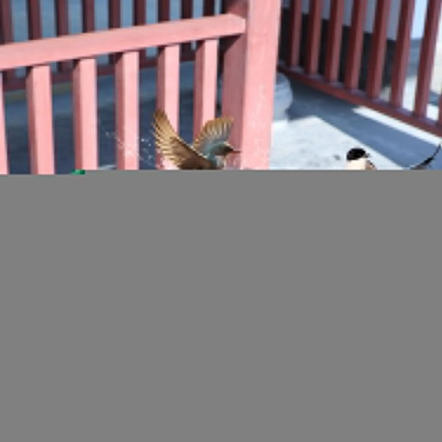 

Настольная ванна для террасы с солнечным фонтаном, металлическая, регулируемая, прочная, для балкона