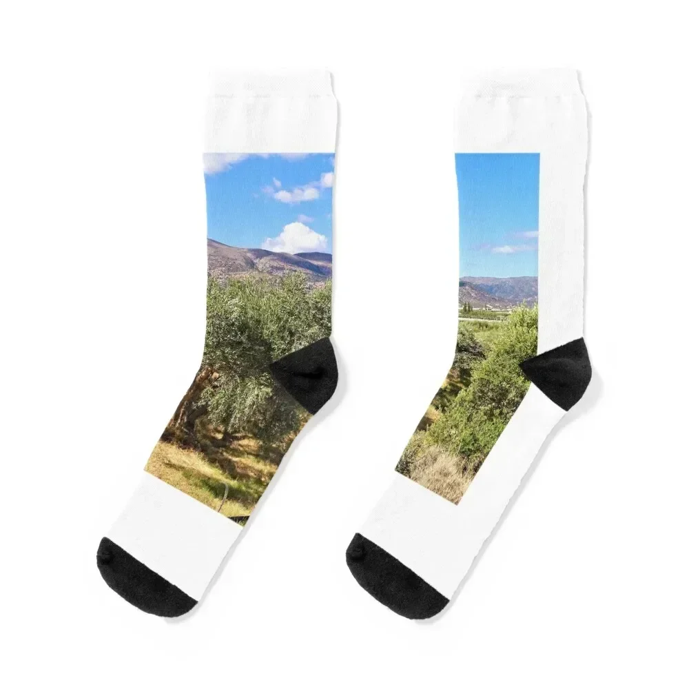 

Cretan olive trees Socks Heating sock aesthetic with print Socks For Man Women's