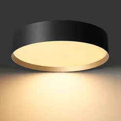 Modern LED Ceiling Lamp Round 220V Home Dali Triac 0-10V Smart Dimmable Surface Mounted Ceiling Light For Bedroom Living Room