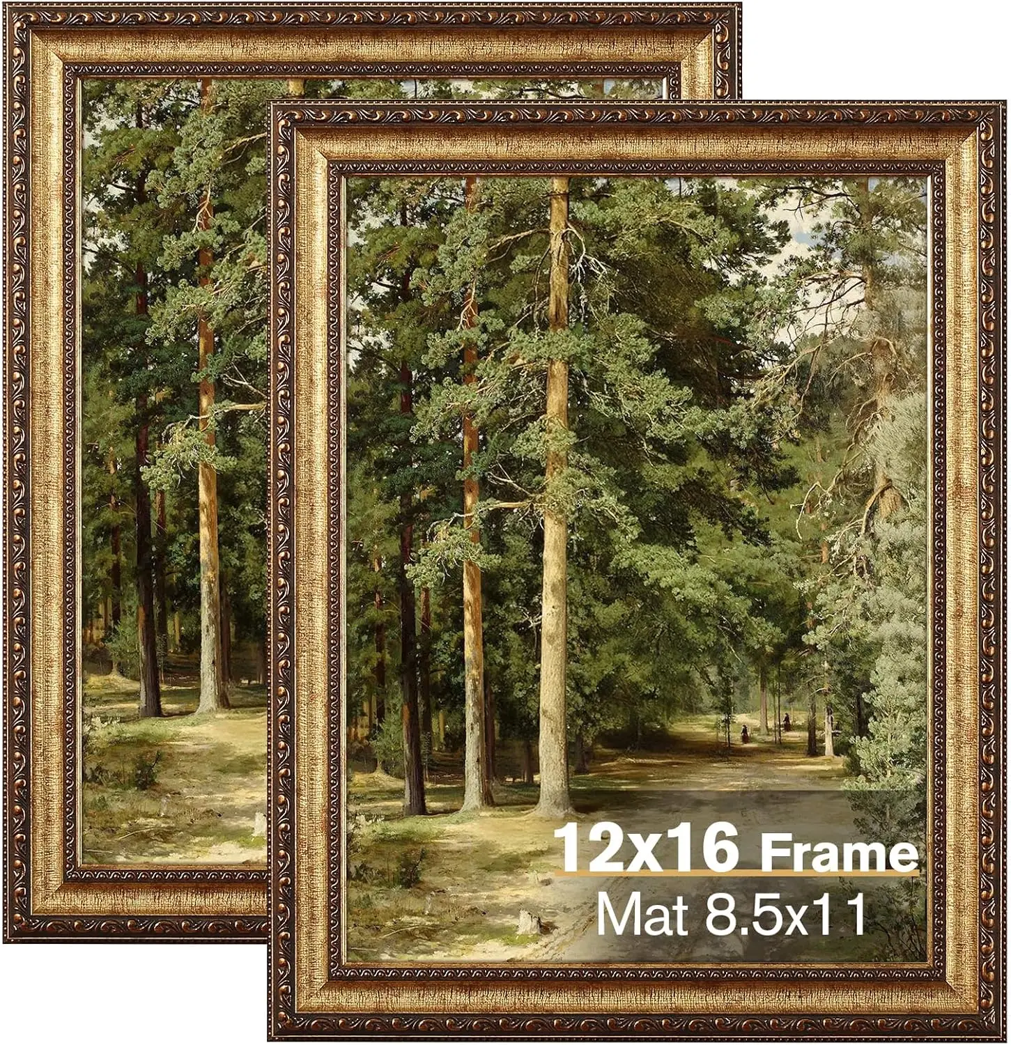 12X16 Vintage Gold …