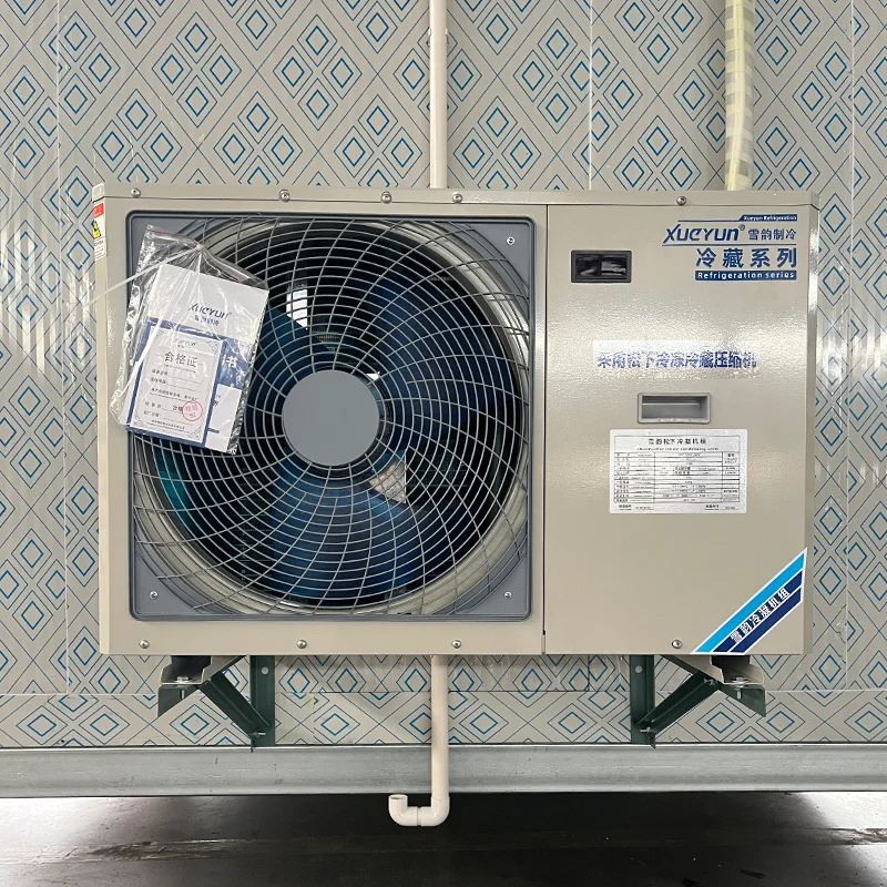 Refrigerazione commerciale ad alta efficienza Sala di raffreddamento mobile Congelatore per celle frigorifere Camminata nel frigorifero Pannelli per celle frigorifere