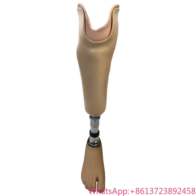 

WDF Artificial Limb Implants Customization Below Knee Prosthetic Leg