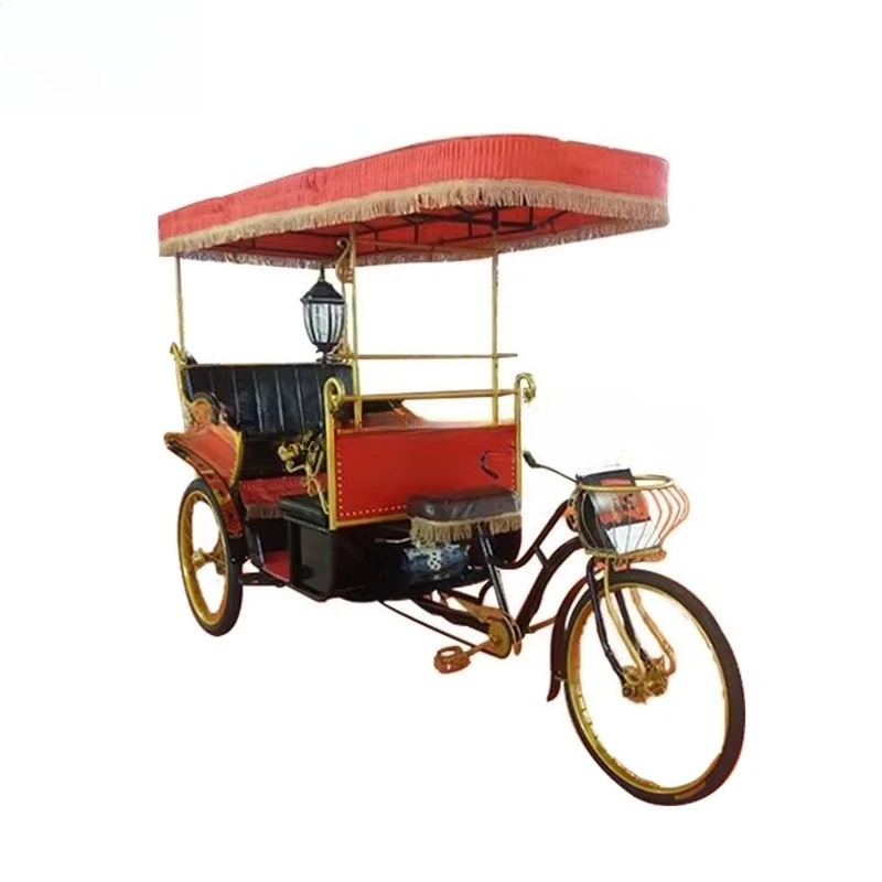 Electric Trcycle Battery Motor Three Wheel Electric Travel Cars