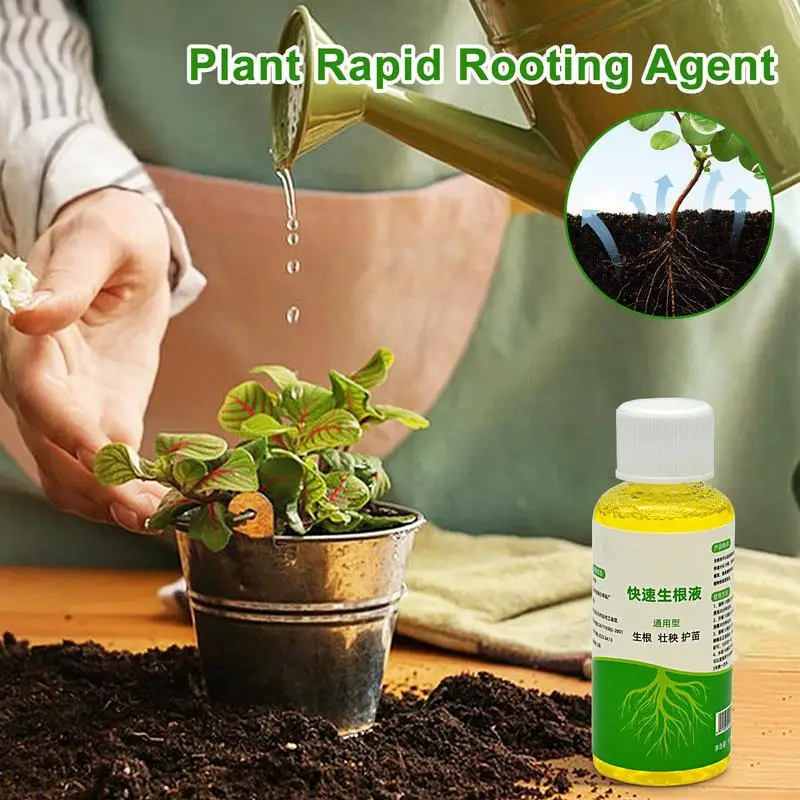 Root Booster for Plants Quick - Root Stimulator Liquid recension och pris