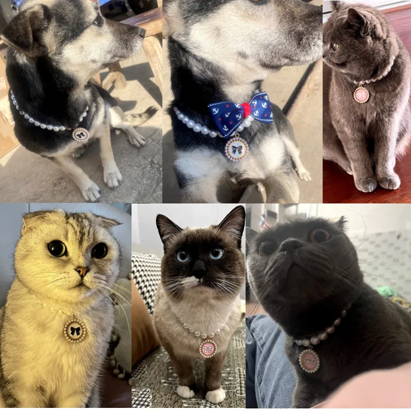 قلادة الأميرة لؤلؤ الحيوانات الأليفة ، طوق الكلب ، مجوهرات القط ، اكسسوارات الجرو ، سلسلة الكلب ، شيواهوا ، الاشياء الزفاف #5