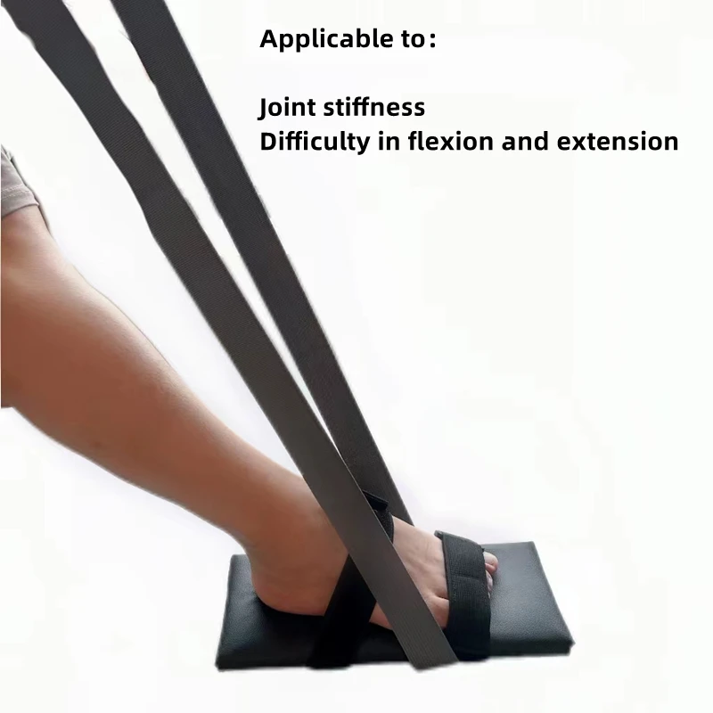 Рисунок 2 - Домашние, верхние и нижние конечности