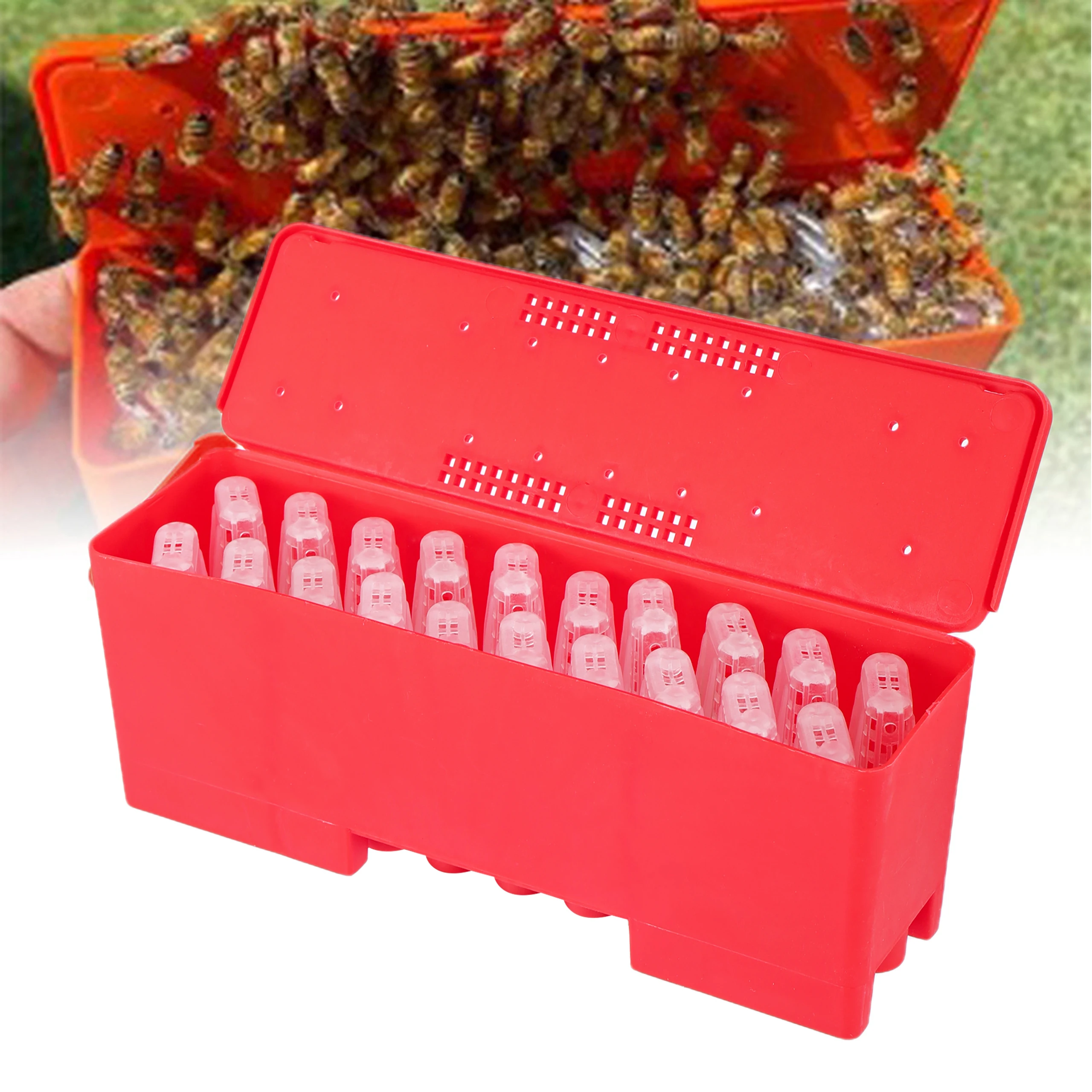 Beekeeping Tools Queen Bee Transport Box With Queen Cages Rearing Equipment Queen Cell Plastic Incubator Beekeeper Tools Farm