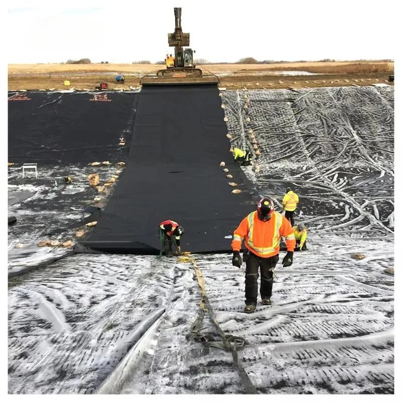HDPE Anti Seepage Waterproof Geomembrane Customized for Fish Pond Dam Canal Landfill and Mining Construction Projects