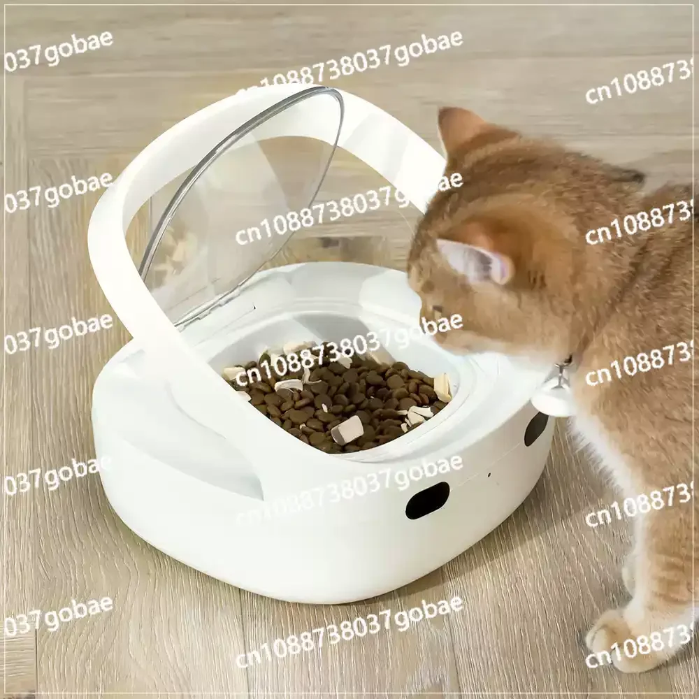 Smart pet multi-pet feeder cat dog food feeder precise feeding to prevent stealing