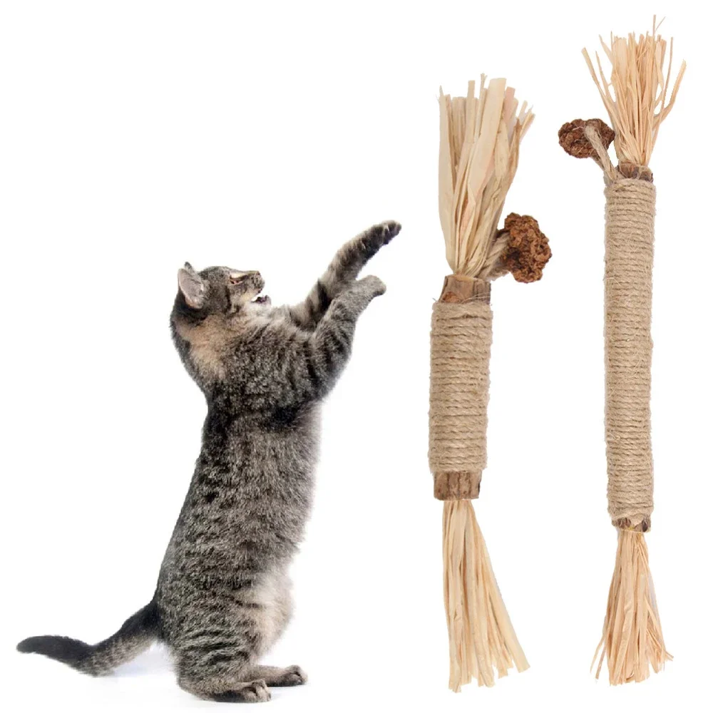 Cat Toys Silvervine Chew Stick Pet Snacks Sticks Natural Stuff with Catnip for Kitten Cats Cleaning Teeth Cat Accessories Katze