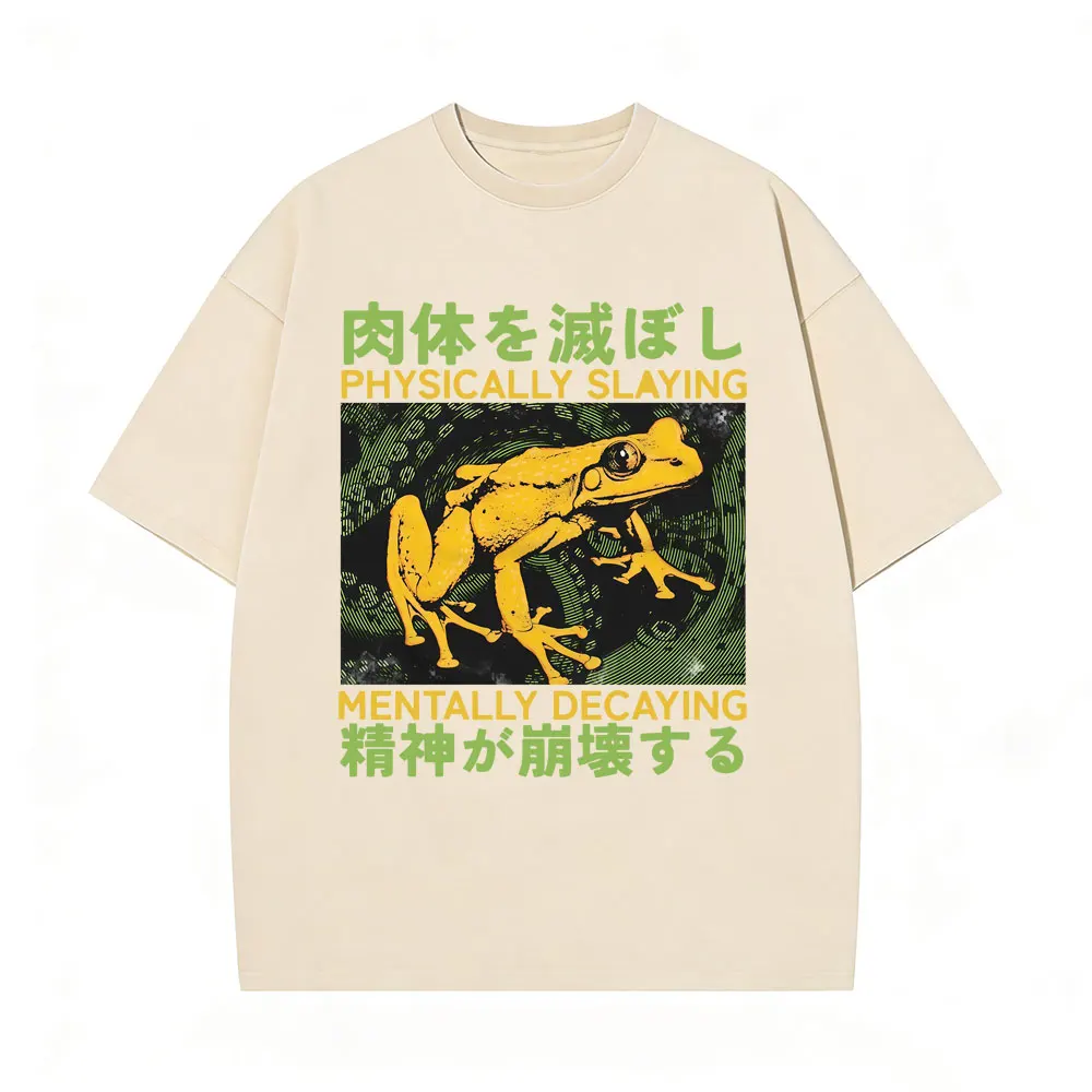 

Physically Slaying Mentally Decaying T Shirt Funny Japanese Style Frog Retro Washed T-shirt Men Women Casual Vintage T-shirts