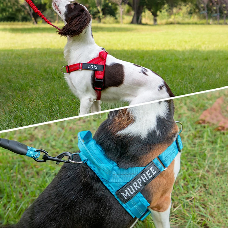 Custom Name No Pull Dog Harness Elastic Buffer Leash Set Adjustable Reflective Nylon Walking Lead for Small Medium Large Dogs