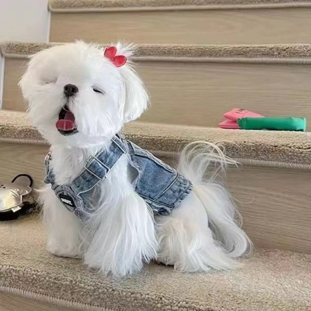 Pet Clothes Dog Denim Skirt Chest Strap Cat Small Dog Embroidered Dress Maltese Cute Yorkshire Puppy Dog Dresses for Small Dogs