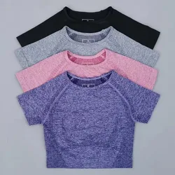 Seamless Yoga Top Short Sleeve Workout Tops For Women Fitness Gym Crop Top Athletic Sport T shirt Women Sportswear