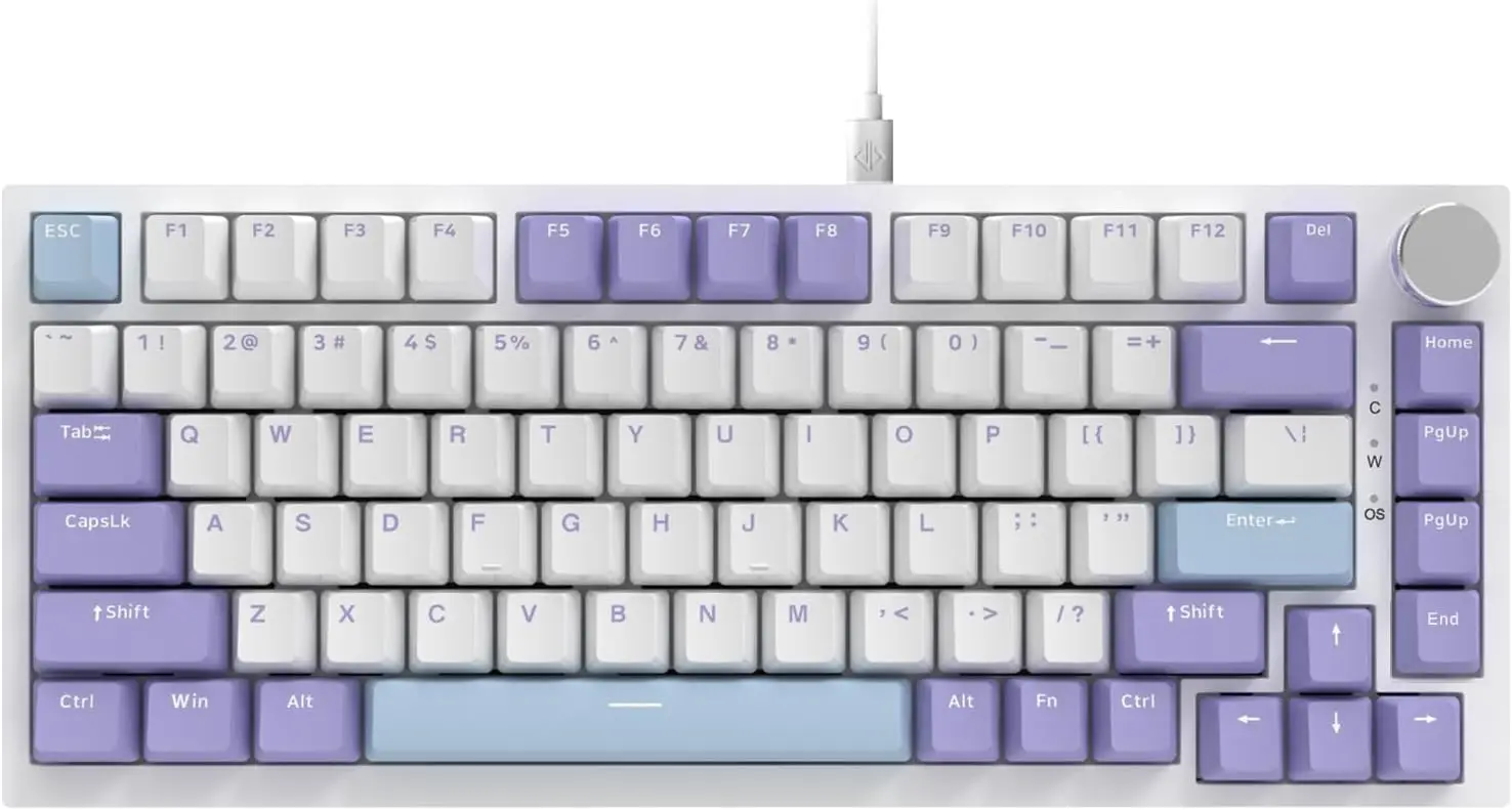 

AJAZZ AK820 75% Wired RGB Mechanical Keyboard, 82-Key Hot-Swap, PBT Keycaps, Volume Knob, Detachable Type-C Cable (Purple & Blue