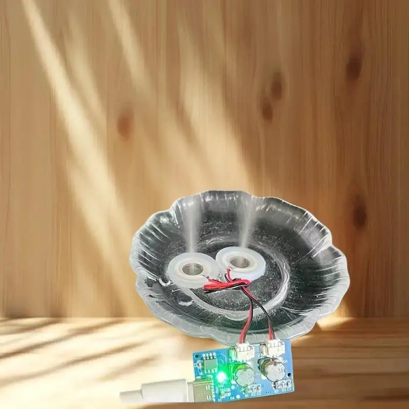 Dual-Output 5V Ultrasonic Mist Maker Module - USB-C Direct Spray, No Switch Needed for Humidifiers & DIY