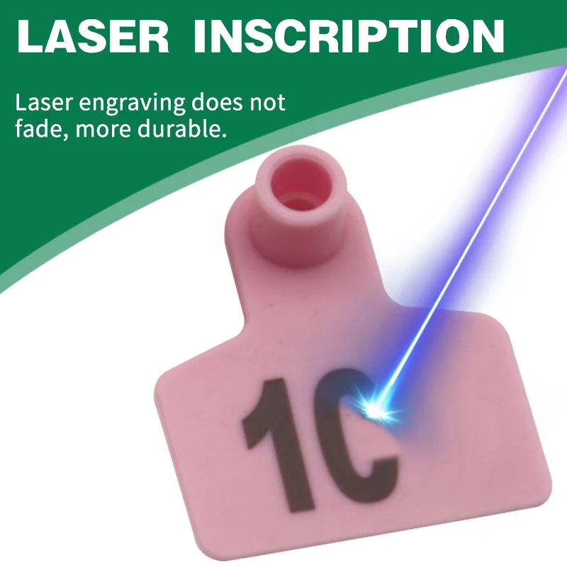 8색 플라스틱 돼지 귀표시, 레이저 각인 단어 포함, 돼지, 양, 염소 귀표시, 농장 동물 식별 카드, 100개입, 001-200