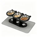 Cat bowl and mat