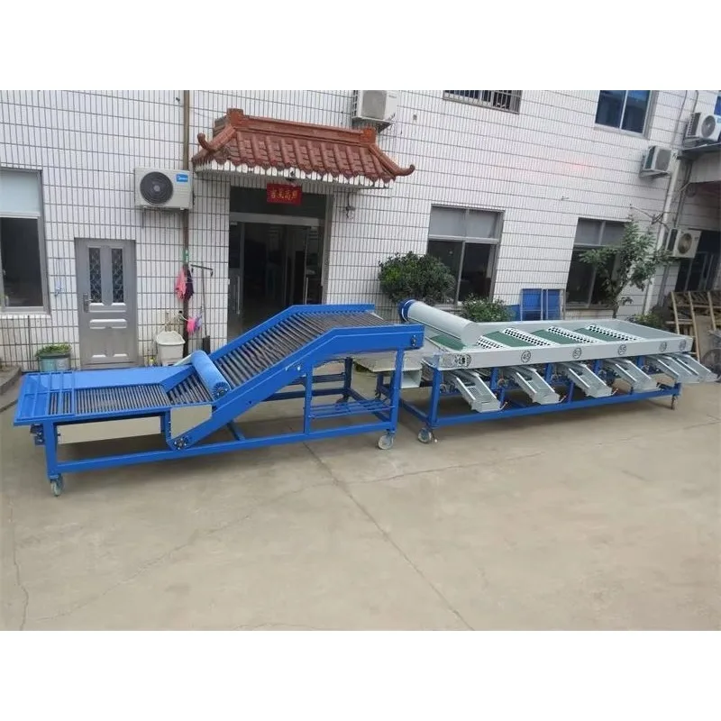 Full Set Fruit Size Grading Sorting Line Automatic Feeding Fruit Sorter Machine For Berry Fruit Processing Custom Available