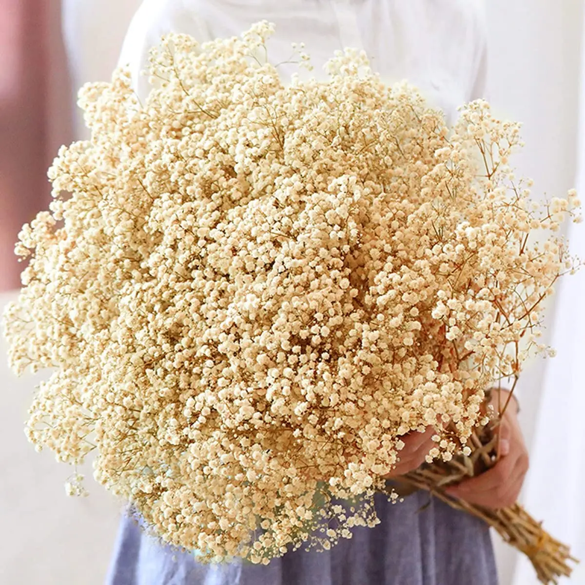 

Dried Flowers Babys Breath Bouquet Ivory White Natural Gypsophila Branches for Home Decor Wedding Dry Flowers Bulk for Vase