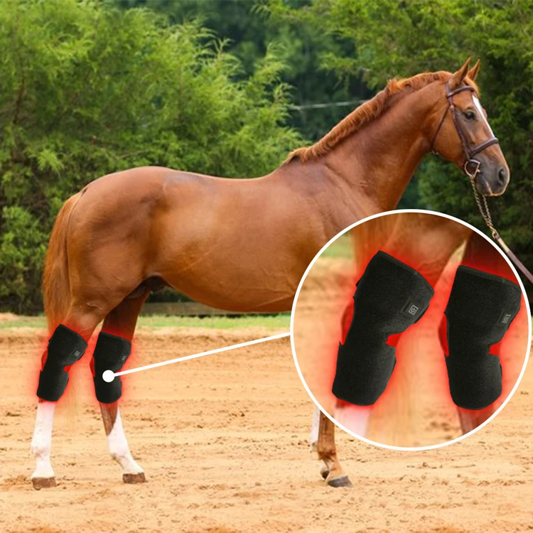 Led Red Light Therapy Horse Animals Pain Relief Equine Infra Red Light Hock for Horse Knee