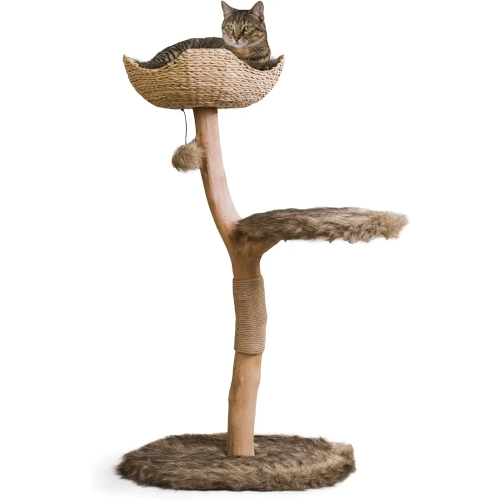 

Wooden Cat Tree Tower, Modern Single Branch Cat Condo, Wood Cat Tree,