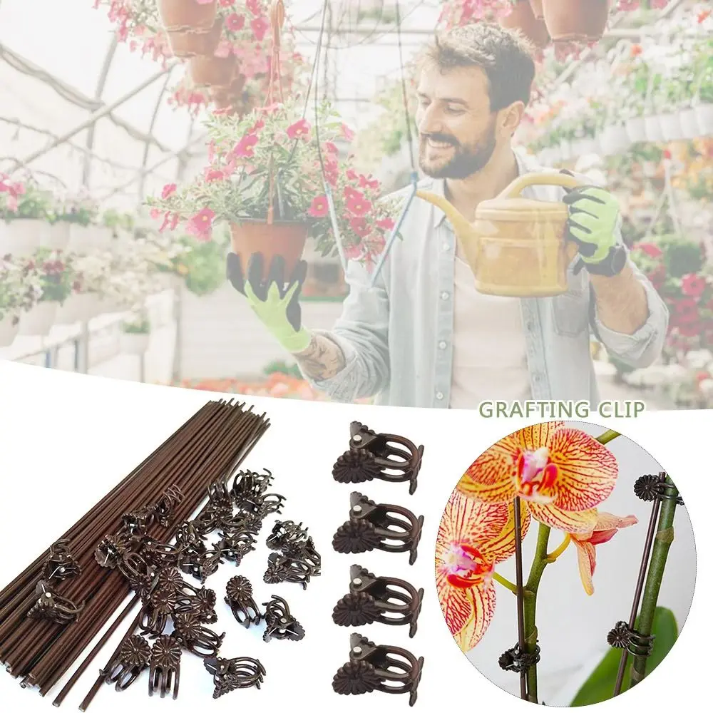 100PCS Orchid Flower Support Plant Clips Supplies Garden Tools Vine Grafting Orchid Clips 6-Claw Plastic Grafting Clip