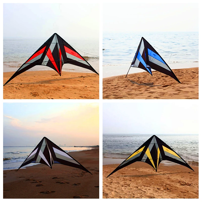 

free shipping 250cm Professional Stunt kite Falcon kites factory Freilein kite dual line for adults bird scarecta kite wind surf