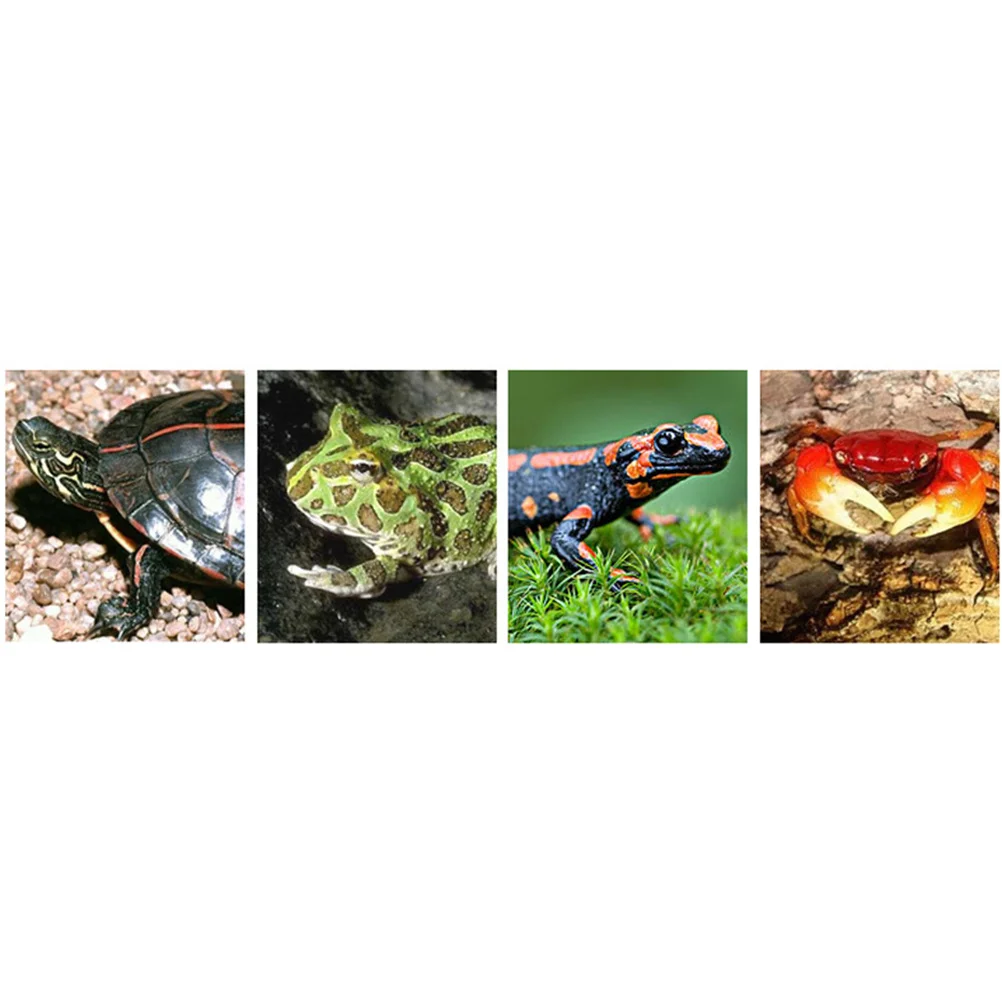 

Turtle Basking Platform Coffee Color Suction Cup Resin Arch Bark Tree Decoration For Fish Tank Lizard Resting Pad Crawling