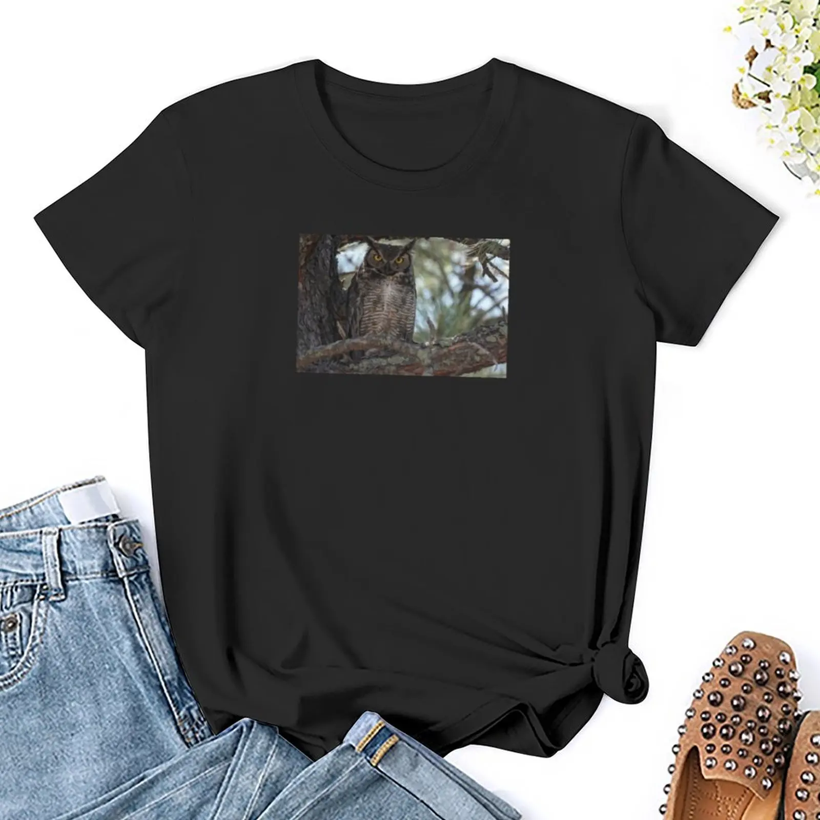 Great Horned Owl Looking at Camera T-Shirt kawaii clothes female vintage clothes Women t shirt