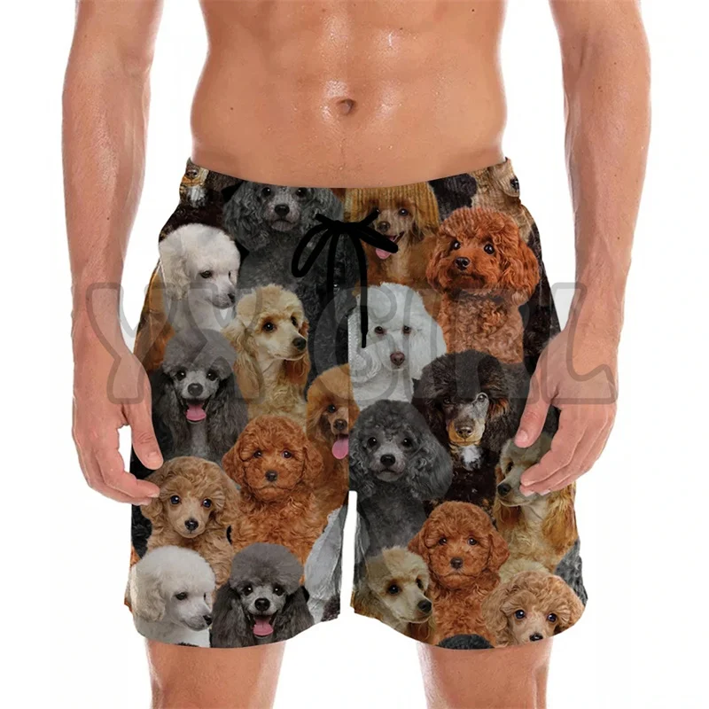 Dogs Short Pants Women Men Kid 3D Printed Fashion Swim Trunks Beach Shorts Skateboard Sport Casual Loose Shorts 2023 Summer