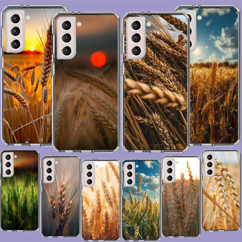 Mature Wheat Grains Phone Case For Samsung Galaxy S24 S23 Ultra Capa Shell S22+ S21 Plus S20 FE S10 Lite S10E S9 Cover Silicone